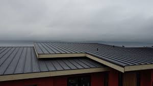 Best Metal Roofing Installation  in Lake Stickney, WA